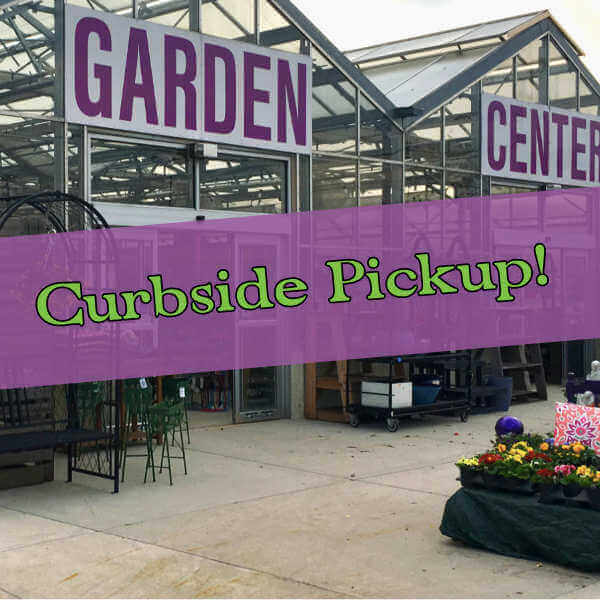 Update on the SARS-CoV2/COVID-19 coronovirus