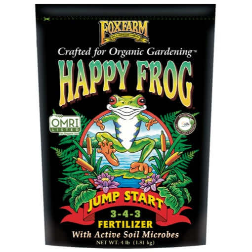 image of rectangular bag in black with drawing of frog and foliage and happy frog logo