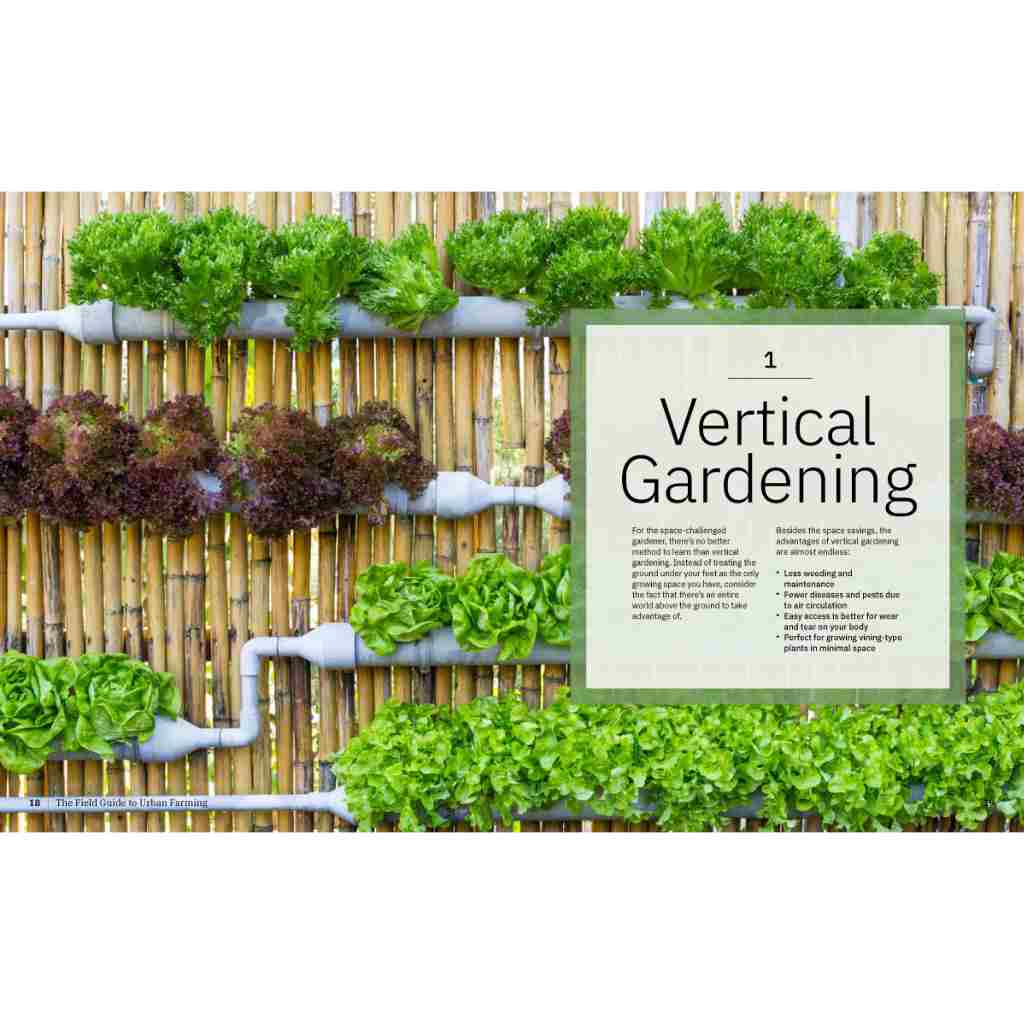 image of two page spread showing a vertical wall garden with various lettuces and text introduction to vertical gardening