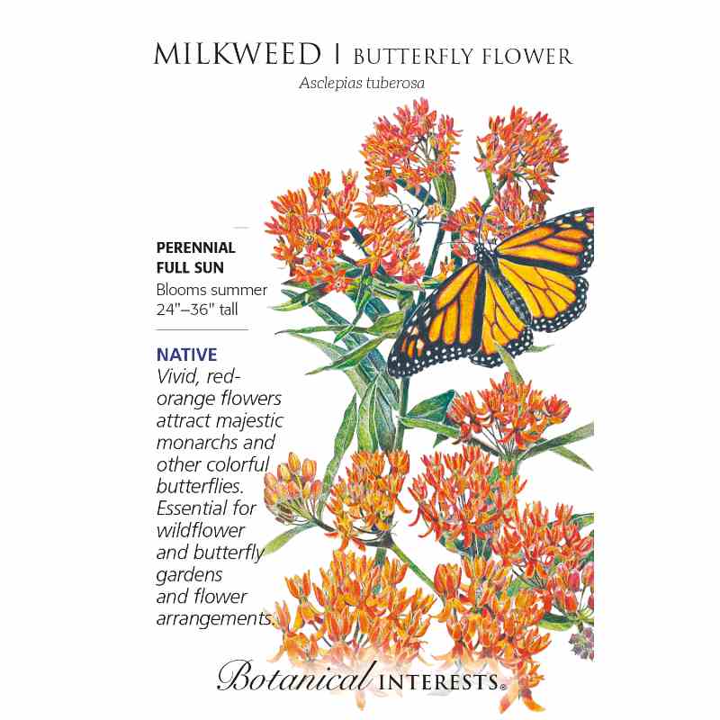 image of seed packet with drawing of milkweed plant showing several flowers consisting of many tiny orange buds on tall green stalks with narrow pointed green leaves.  A monarch butterfly is resting on the flowers.  logo and seed info in black type