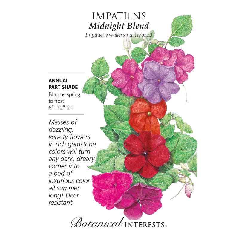 image of seed packet with drawing of several five petal impatiens blooms in varied colors ranging from pink to lavender to deep red and pointed oblong green leaves.  logo and seed info in black type