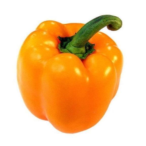 image of bell pepper in bright golden yellow color