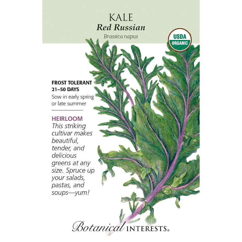image of seed packet with drawing of heavily lobed green kale leaves with purple veining.  logo and seed info in black type.  usda organic logo in upper right corner