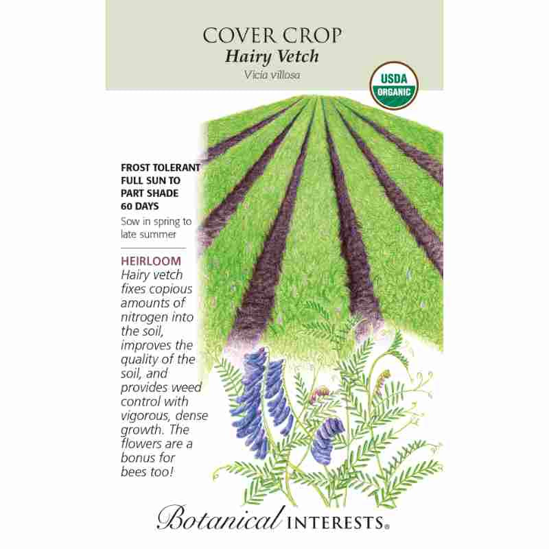 image of seed packet with drawing of a field of rows of green crops in dark soil.  drawing of plant with thin stems, tiny long leaves and purple small petals.  logo and seed packet info in black type.  USDA organic logo in upper right corner