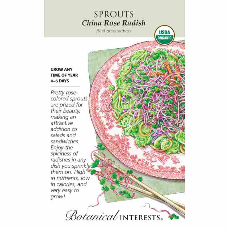 image of seed packet with drawing of red and white ceramic plate, covered in salad with china rose radish sprout sprinkled on top of the salad.  A pair of chopsticks have sprouts intertwined around them.  logo and seed packet info in black type.  USDA organic logo in upper right corner