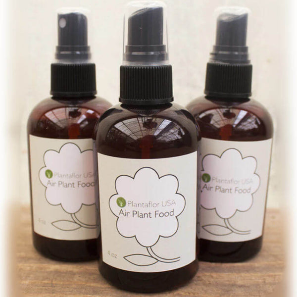 air plant food Air Plant Food Tillandsia Fertilizer Spray 8 oz