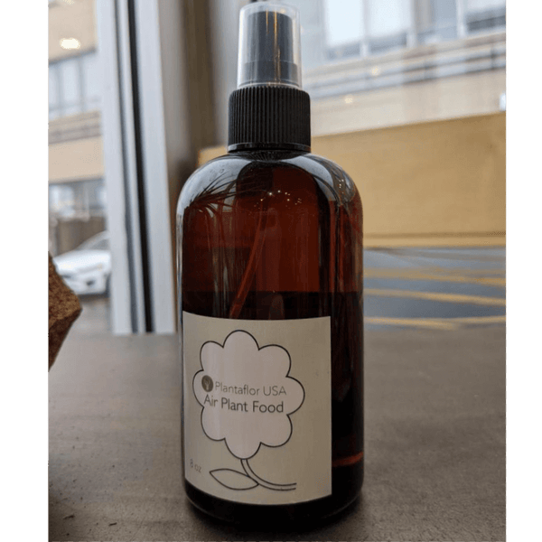 air plant fertilizer amazon Air Plant Food Tillandsia Fertilizer Spray 8 oz
