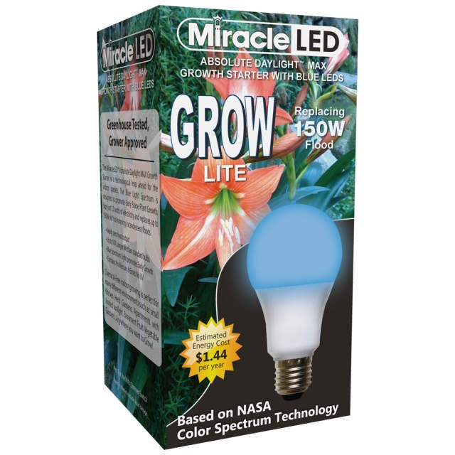 image of box with red day lilies in the background and a blue L E D bulb