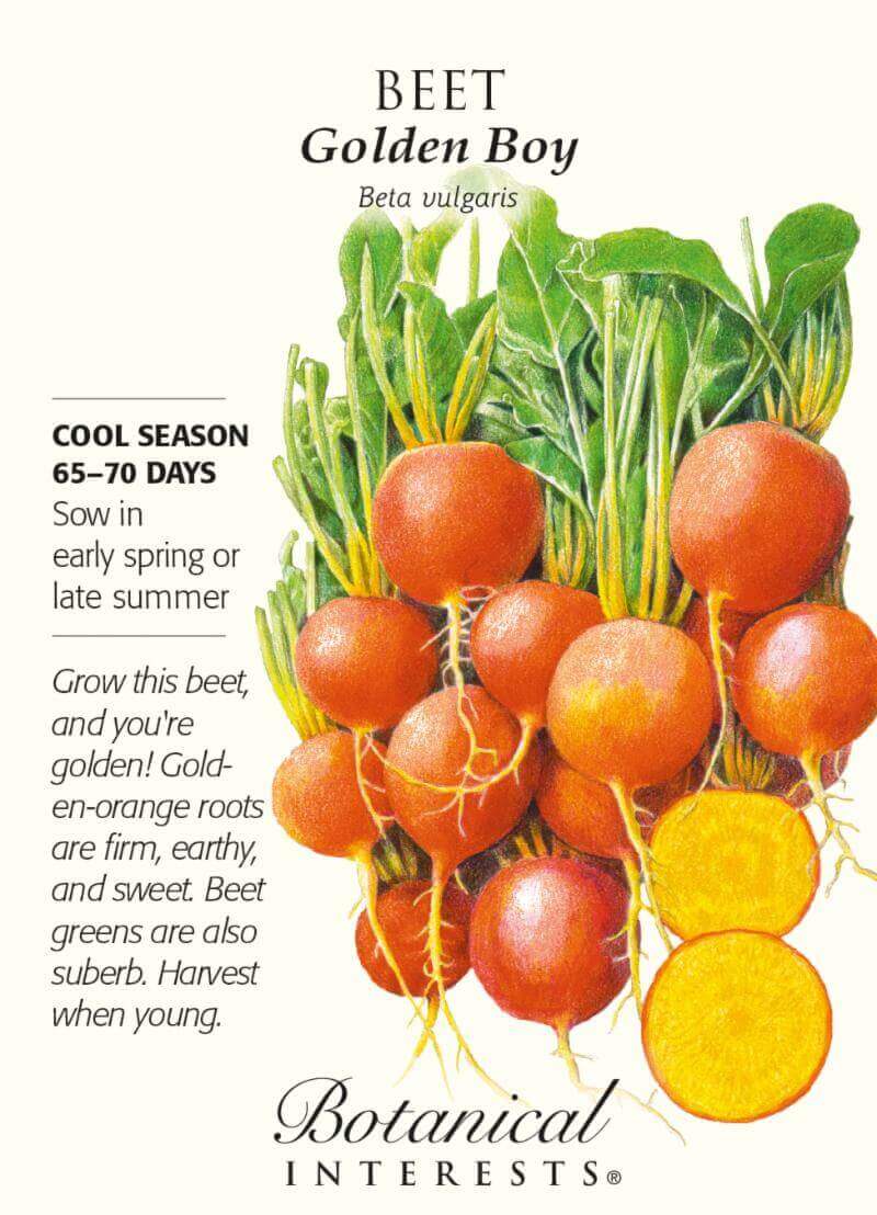 You Can't Beat Beets!