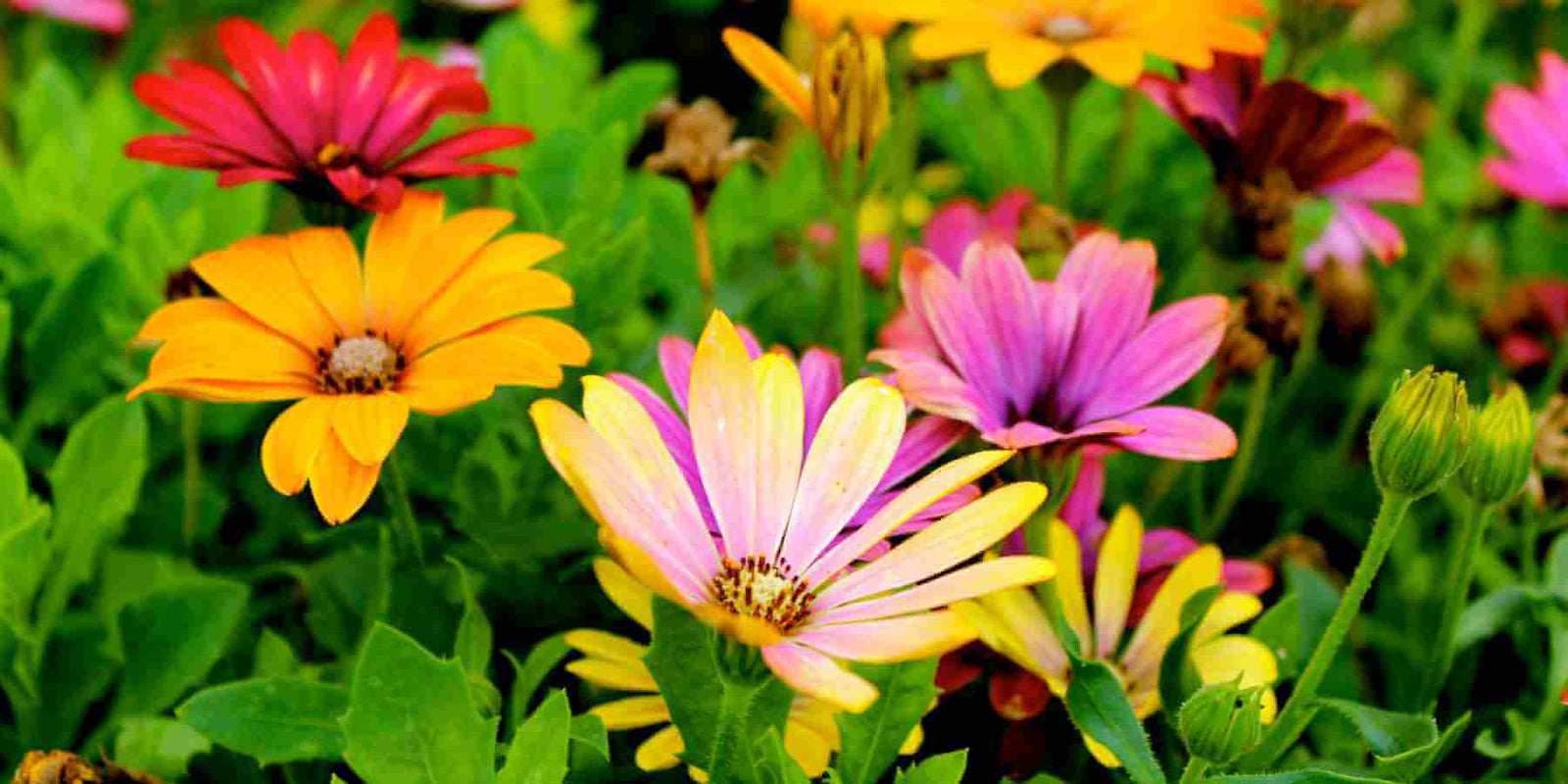 Could This Mean Spring Is On Its Way?