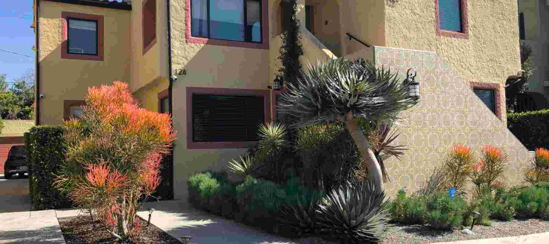 image of a front of a yellow stucco home with a front yard filled with agaves and other succulents
