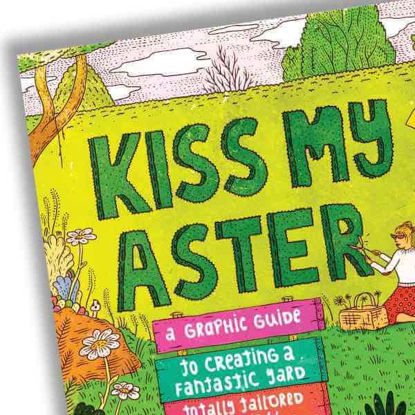 image of the front of the kiss my aster book with colorful drawings