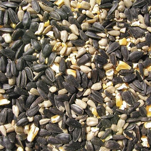closeup image of birdseed