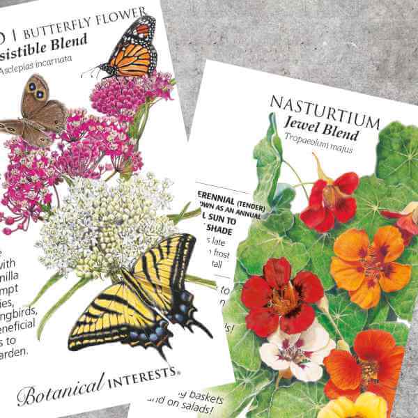 All Botanical Interests® Seed Packets