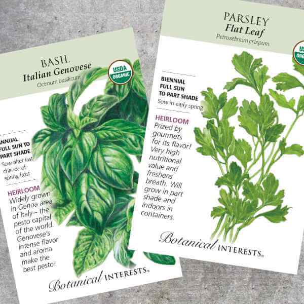 packet of basil and parsley seeds