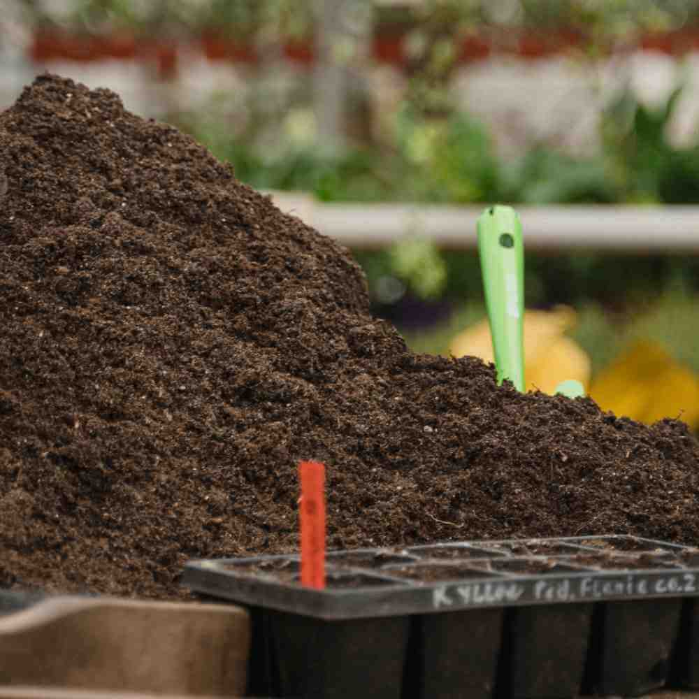 image of a pile of brown compost