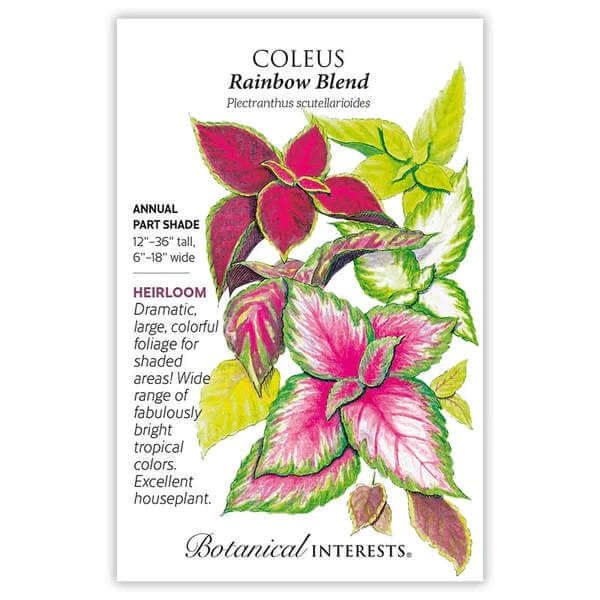 Seed packet for Coleus Rainbow Blend with colorful leaves and Botanical Interests branding.