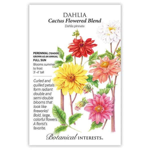 Seed packet for Dahlia Cactus Flowered Blend with colorful flowers and botanical text.