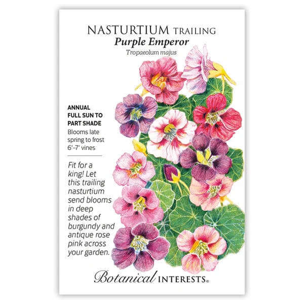 image of seed packet with drawings of several flowers in colors of purple, white, pink and maroon
