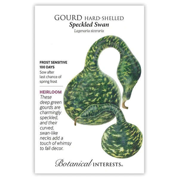 seed packet with drawing of green crook neck gourd on it