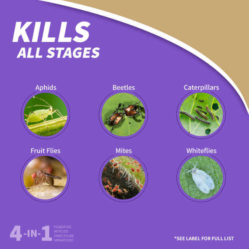 image of white bottle with label in purple and other colors and a white wand attached to the left side