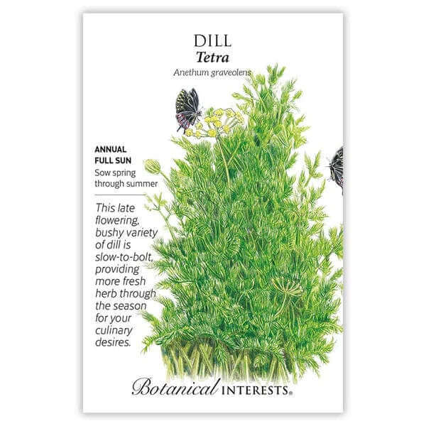 Seed packet for Dill with botanical illustration and text on a white background