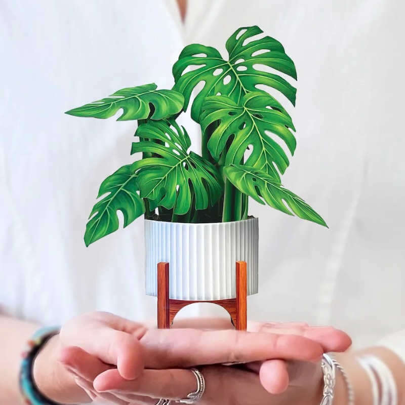image of hands holding a miniature paper monstera plant