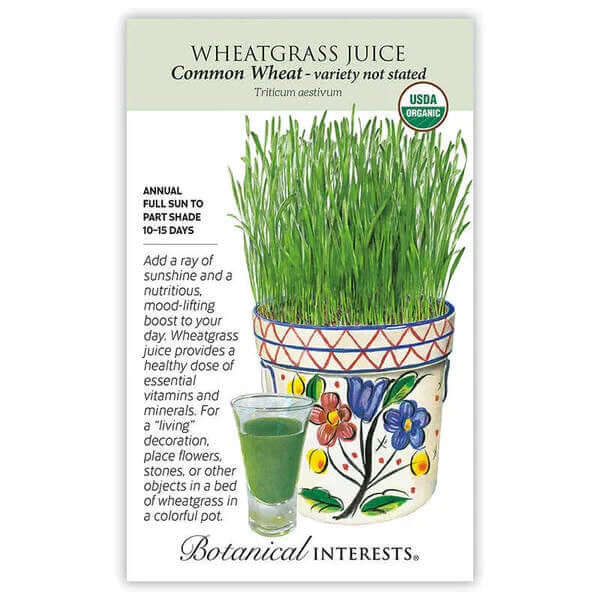 Wheatgrass juice kit with pot, glass, and label on a white background