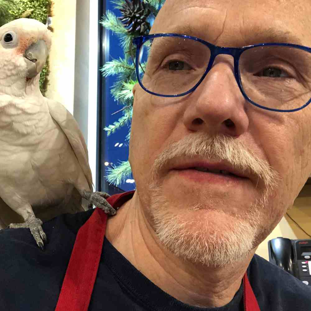 image of man from the shoulders up with blue eyeglasses in a black t shirt with a red apron and a white cockatoo on his shoulder