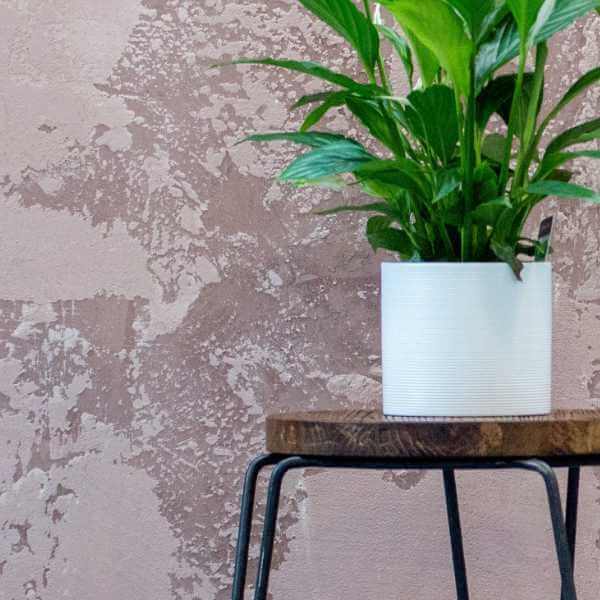 photo of green plant in a white pot on a wood and metal plant stand.  Photo by Max Williams