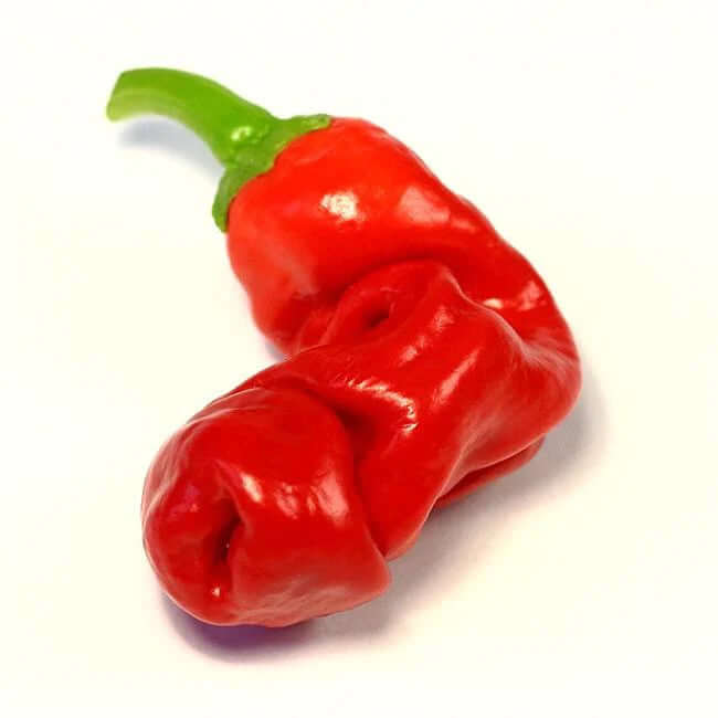 closeup image of a long, wrinkled bright red pepper with green stem