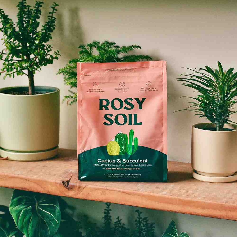 image of bag of soil in green and peachy colors, on a shelf surrounded by plants
