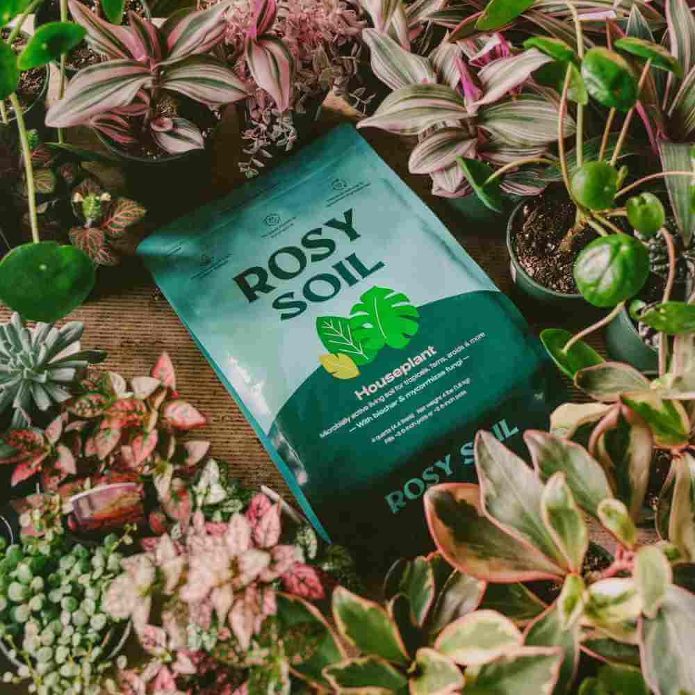 image of a bag of soil in light aqua and dark green colors lying on its back surrounded by many different plants