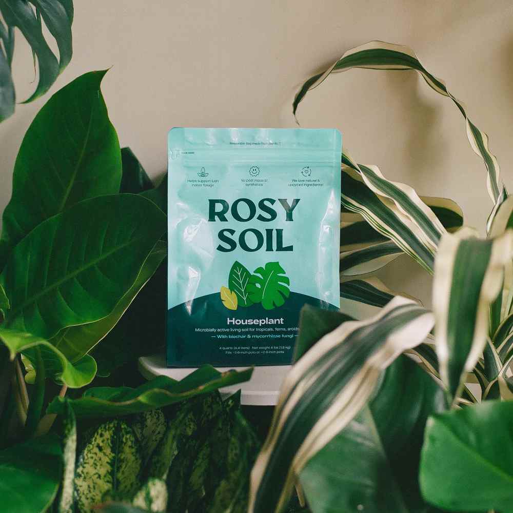 image of bag of soil in light blue and dark green surrounded by different tropical plants