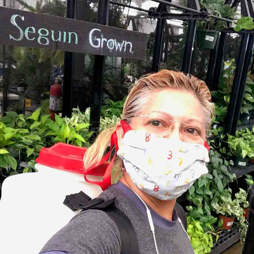 image of a woman with a grey shirt and colorful face masks with glasses and brown hair pulled back into a ponytail, with a backpack sprayer, in a greenhouse in front of plants