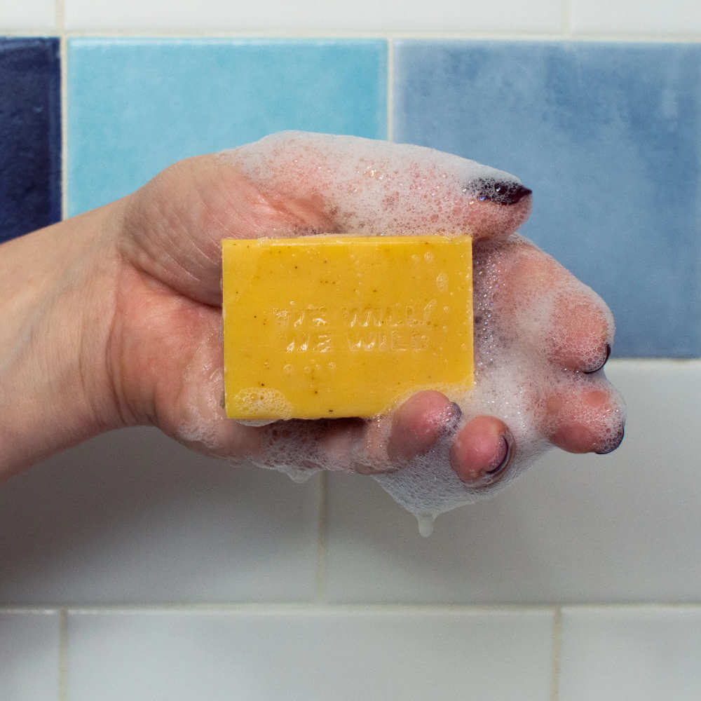 image of rectangular bar of soap with wrapper showing a drawing of Freddy Mercury singing into a handheld shower head