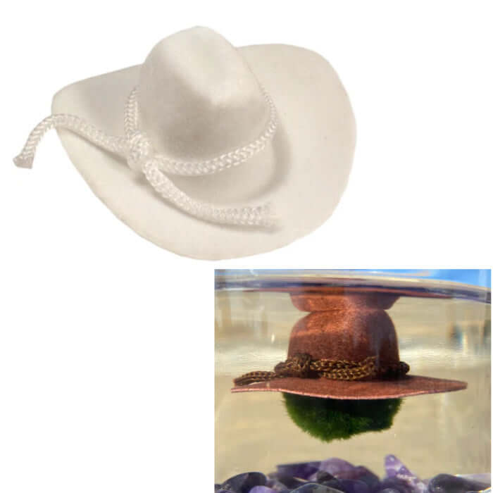 image of a white cowboy hat at the top, and a picture of a brown cowboy hat on a moss ball floating in water