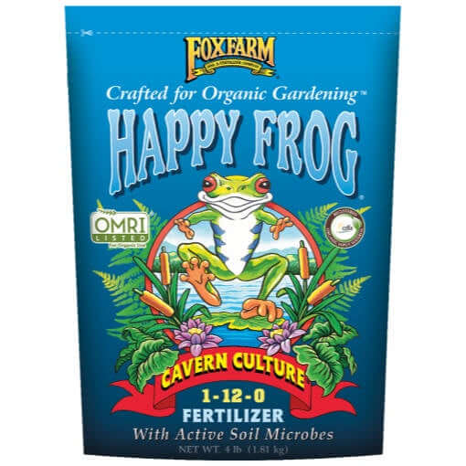 image of rectangular bag in bright blue with drawing of frog and foliage and the happy frog logo