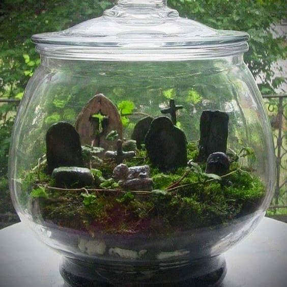 Halloween Terrarium Workshop - Oct 14