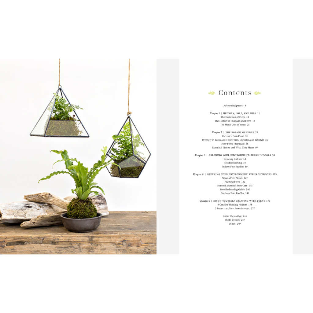 image of pages in book with table of contents and images of three ferns, two of them hanging in geometric glass containers