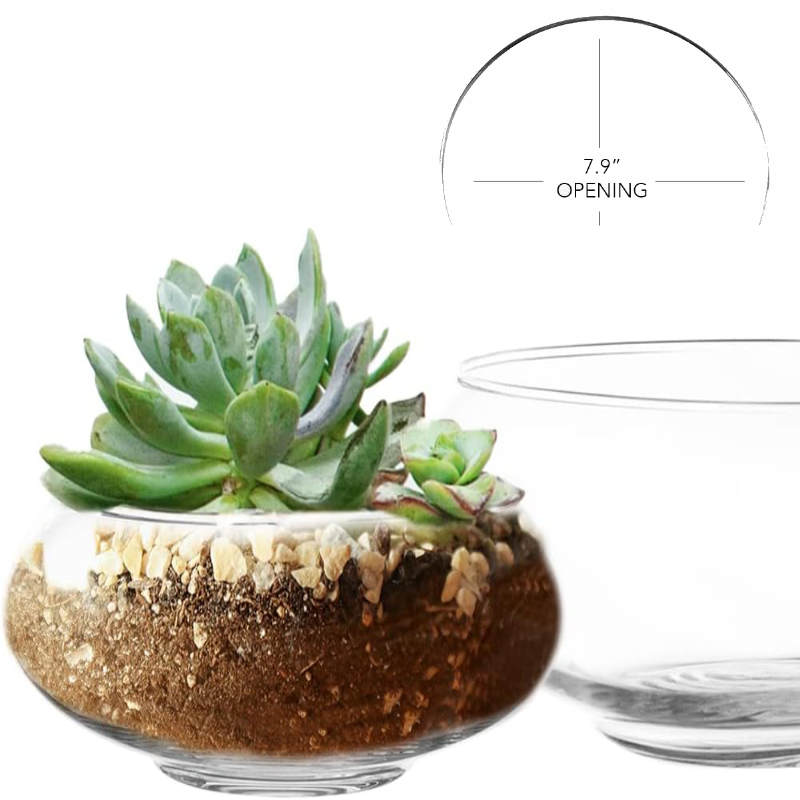 DIY Valentine Terrarium Workshop