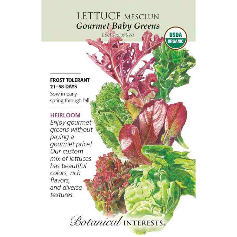 image of seed packet with drawing of several different types of green varying in color from green to purple to deep red, with various shapes of leaves.  logo and seed info in black type.  USDA organic logo in upper right corner