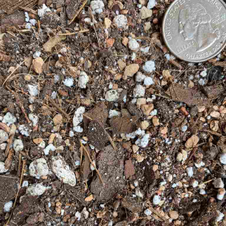 closeup view of houseplant mix showing the chunky textured ingredients, with a quarter coin in the corner for size comparison