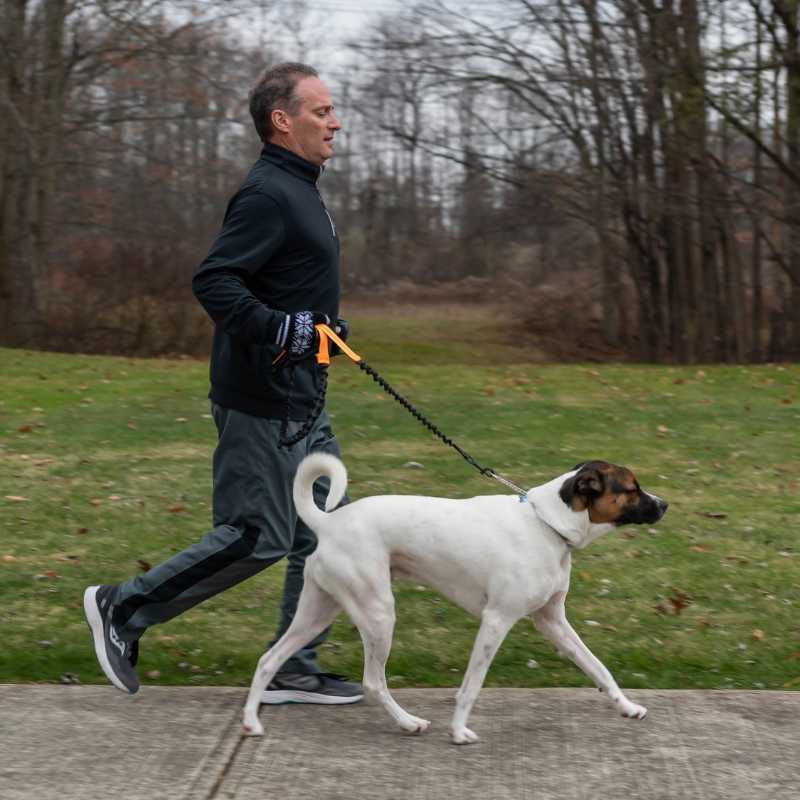 Man walking a white dog on a leash in a park with trees and grass in the background