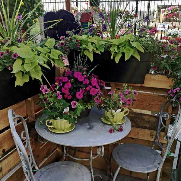 image of a small grey table with two matching chairs.  Pink and green flowers in pots sitting on table, and two brown window boxes behind planted with bright green vining plants and tall spiky plants