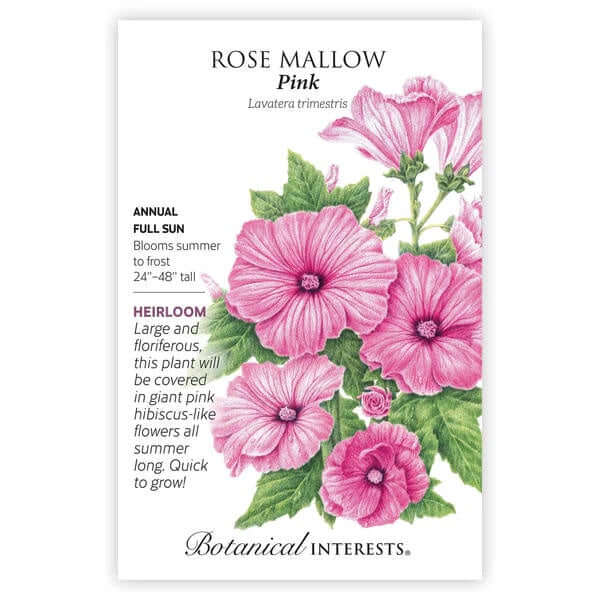 image of seed packet with drawing of flowers with pink ruffled petals