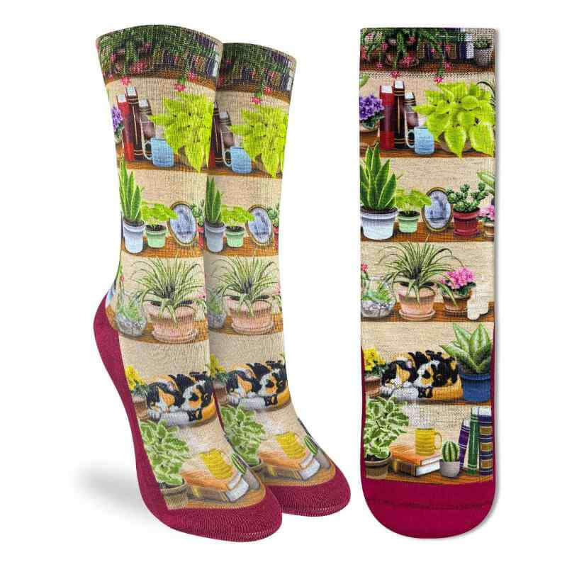 image of two pairs of socks with drawing of bookcase shelves with drawings of multiple houseplants and a calico cat