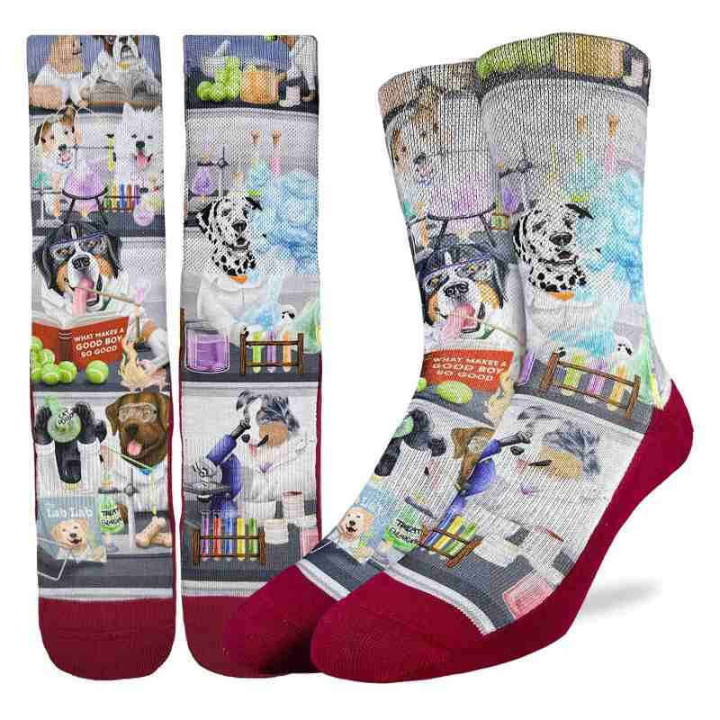 image of two pairs of socks with drawings of socks in different science scenarios