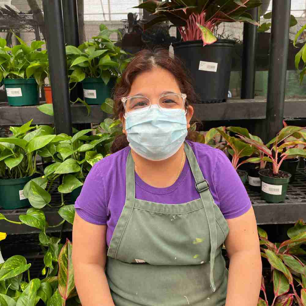 image of woman with dark brown hair wearing a light blue face mask, a purple shirt and a green apron, in front of plants