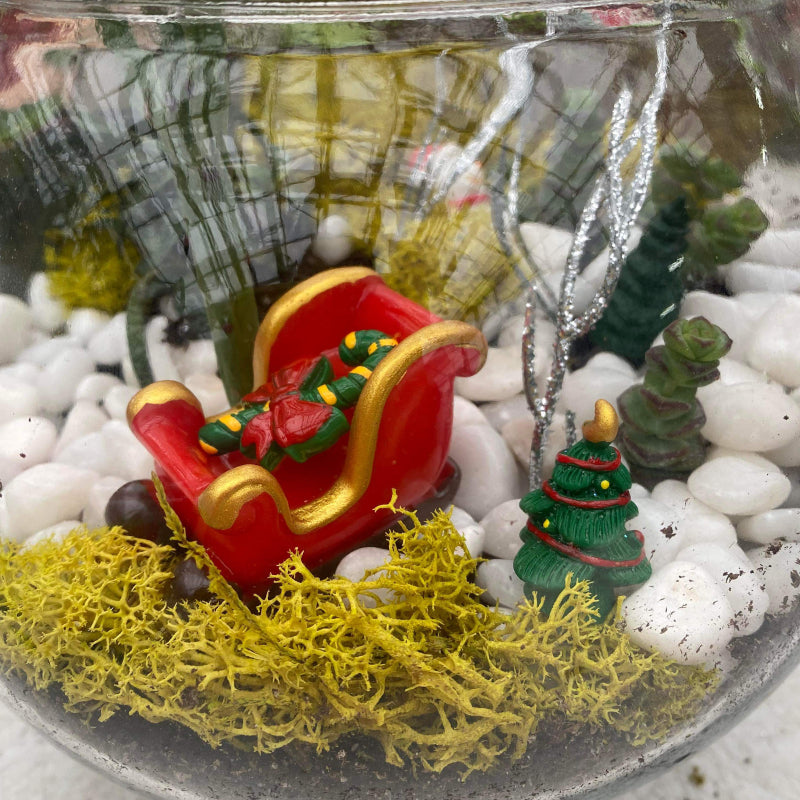 DIY Holiday Terrarium Workshop